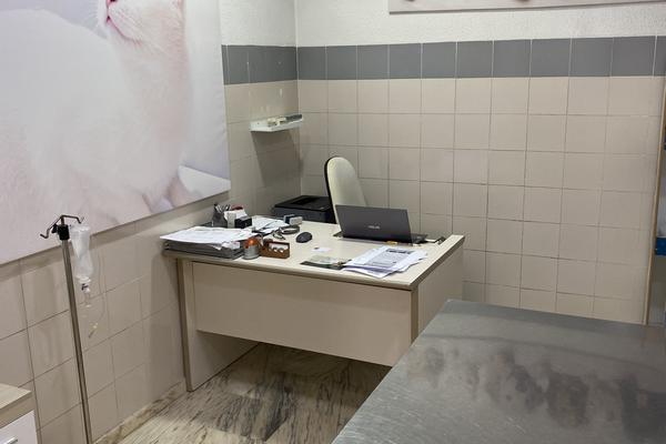 Consulta veterinaria con mesa de exploración en Centro Veterinario Ciudad Jardín