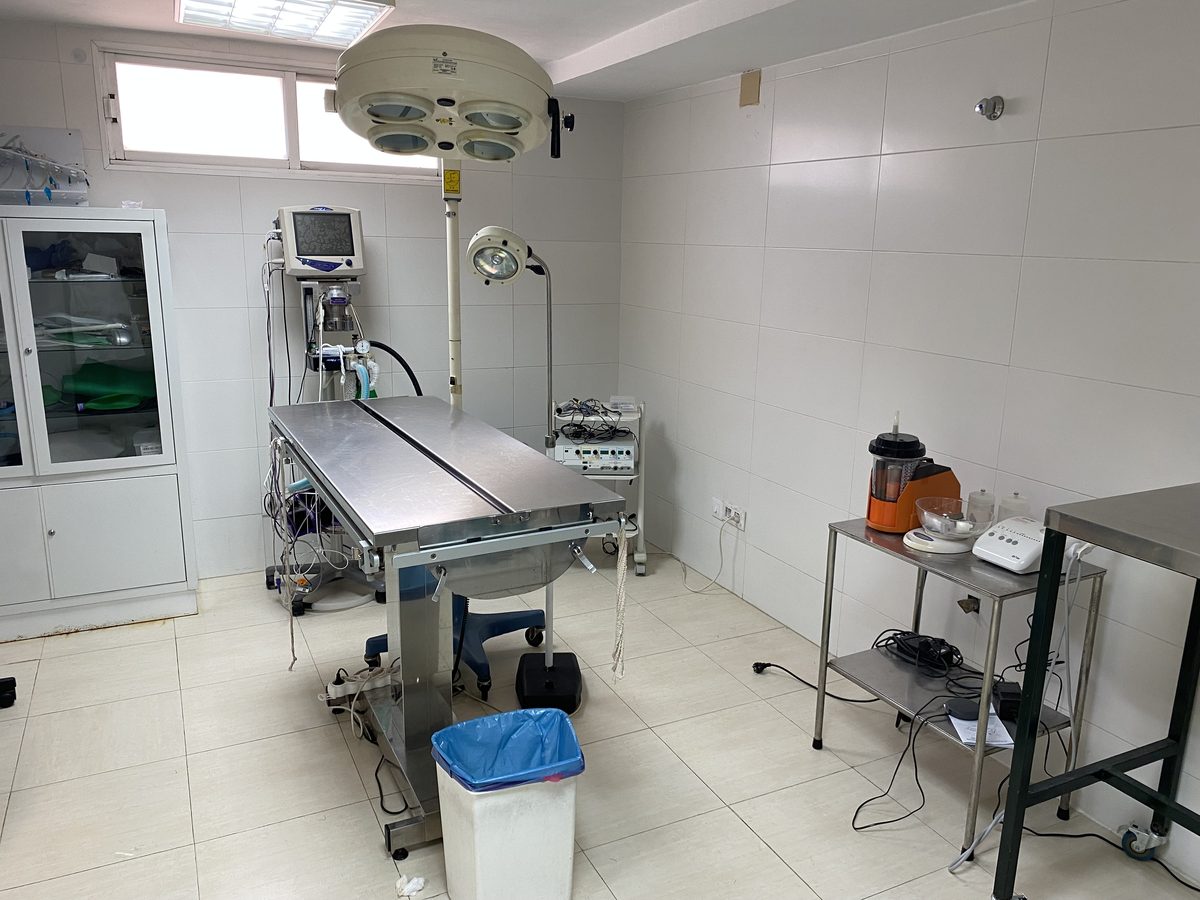 Cirugía veterinaria especializada en Centro Veterinario Ciudad Jardín