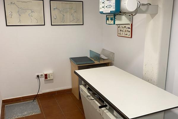 Sala de radiología digital con equipo de rayos X veterinario