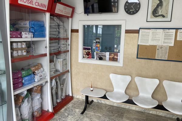 Sala de espera con expositor Royal Canin y zona de asientos